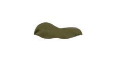 Oliva